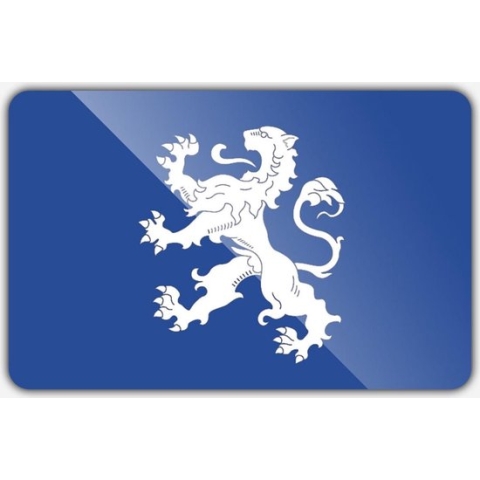 Vlag gemeente Heemskerk - 150 x 225 cm - Polyester