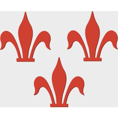 Vlag Rotselaar 120x180cm