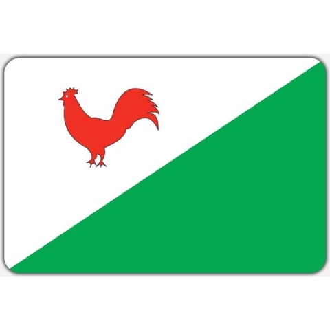 Vlag Heinkenszand - 150 x 225 cm - Polyester