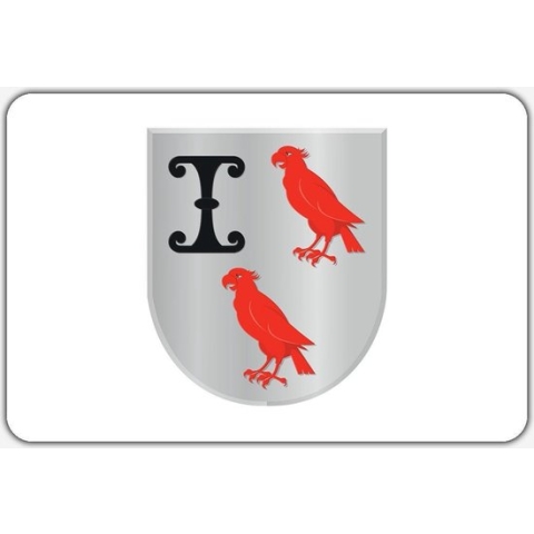 Vlag Gameren - 200 x 300 cm - Polyester