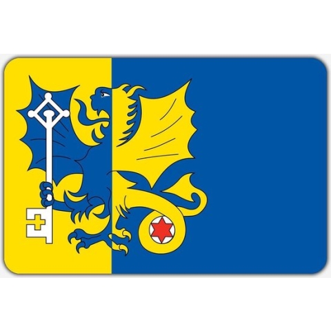 Vlag Erp - 200 x 300 cm - Polyester