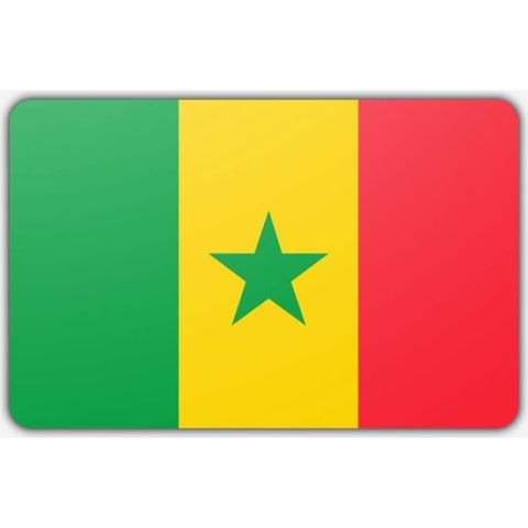 Vlag Senegal - 150 x 225 cm - Polyester