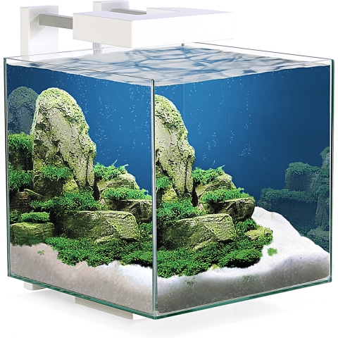 Ciano nexus pure led 15 - nano aquarium