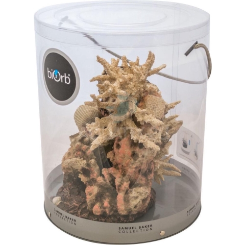 biOrb koraal & schelpen ornament naturel