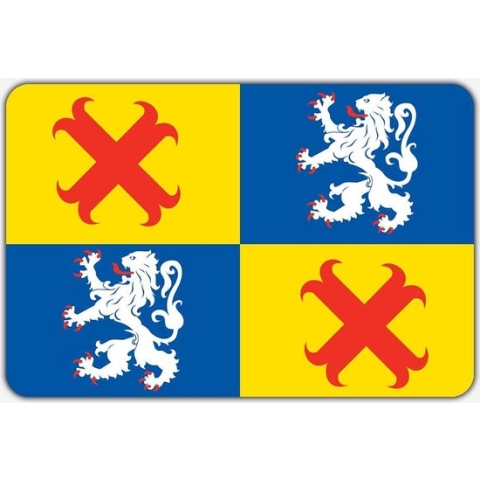 Vlag Steenwijkerwold - 150 x 225 cm - Polyester