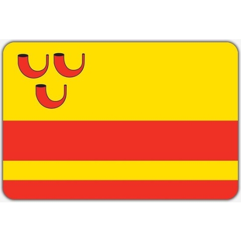 Vlag Haelen - 150 x 225 cm - Polyester