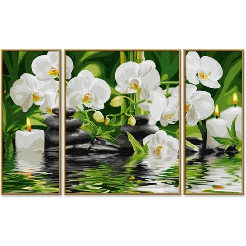 Schipper Witte Orchideeën Schilderen op Nummer