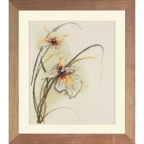 borduurpakket 34786 jan kooistra, "orchidee"
