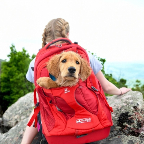 Comfortabele Hondenrugzak voor Kleine honden met diverse opbergvakken - Voor honden tot 11 kg - Kurgo G-train K9 - Rood of Zwart - 33x53x25cm - Kurgo - G-Train K9 Pack - Chili Red