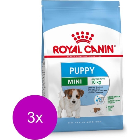 Royal Canin Shn Mini Puppy - Hondenvoer - 3 x 2 kg