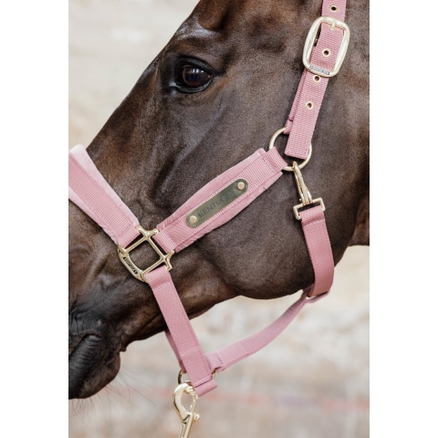 Kentucky Velvet Halter - Bordeaux - Maat Cob