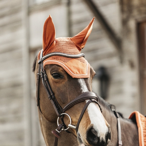 Kentucky Oornetje Wellington Velvet - Orange - Maat Cob