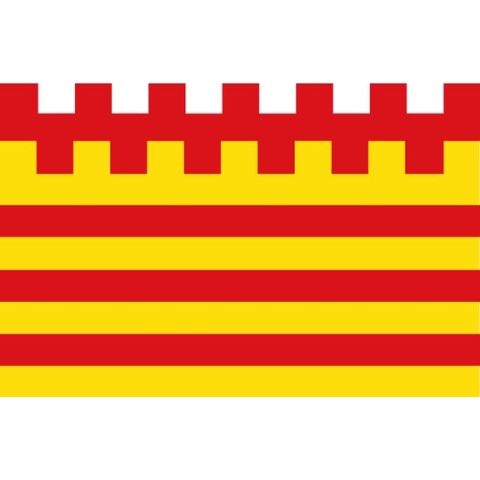 Vlag Pelt 150x225cm