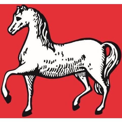 Vlag Assendelft 150x225cm