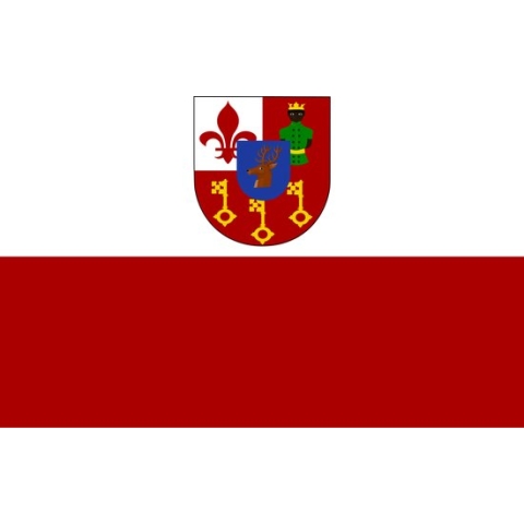 Vlag Waregem 150x225cm