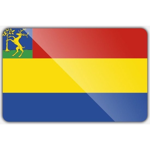 Vlag gemeente Hellendoorn - 200 x 300 cm - Polyester