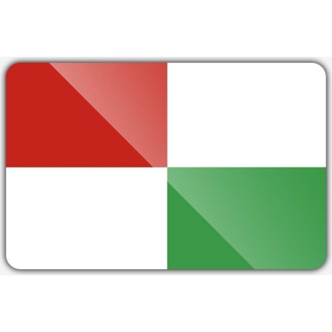 Vlag gemeente Opsterland - 200 x 300 cm - Polyester