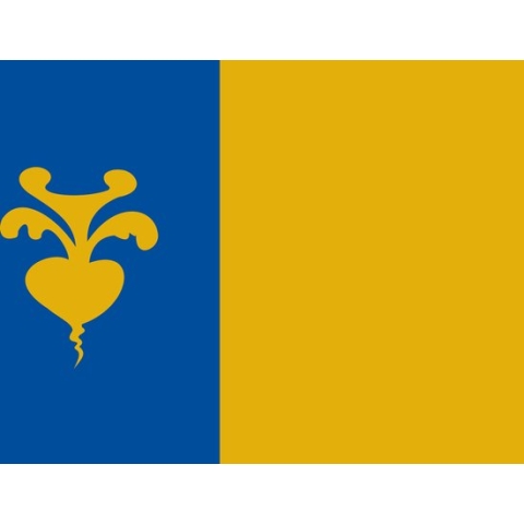 Vlag Sint-Niklaas 120x180cm