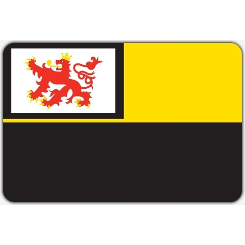 Vlag Didam - 200 x 300 cm - Polyester