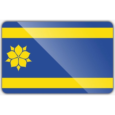 Vlag gemeente Hattem - 200 x 300 cm - Polyester