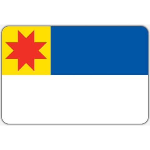 Vlag Berkel en Rodenrijs - 200 x 300 cm - Polyester