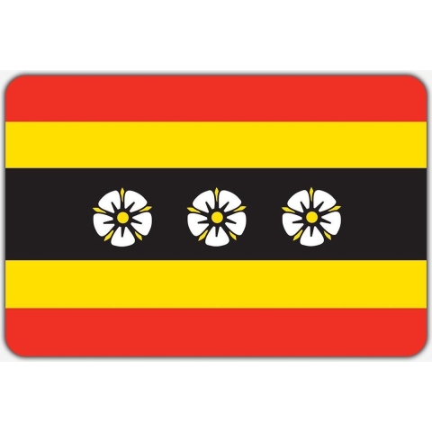 Vlag Ruinen - 150 x 225 cm - Polyester