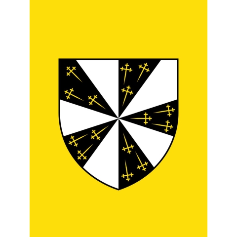 Vlag Pepingen 200x300cm