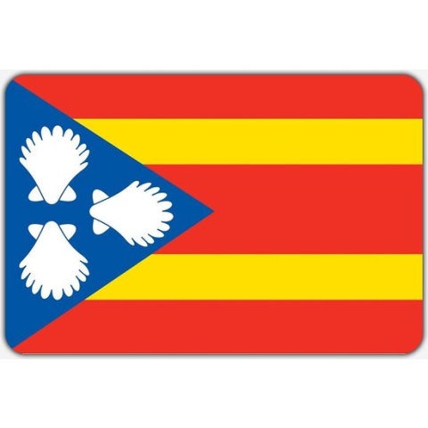 Vlag Sint Jacobiparochie - 200 x 300 cm - Polyester