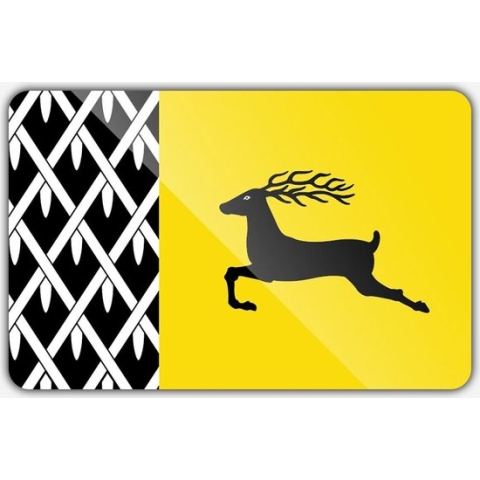 Vlag gemeente Nunspeet - 200 x 300 cm - Polyester