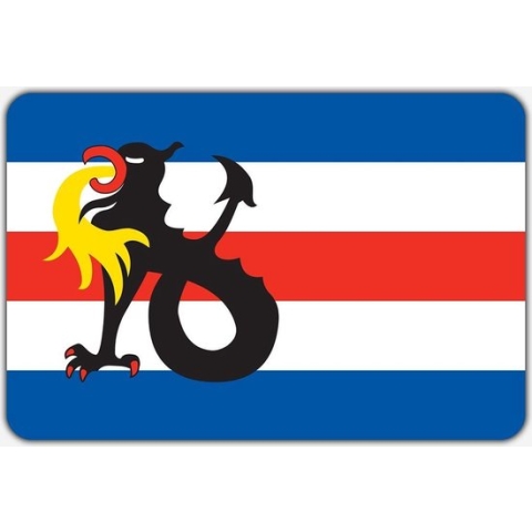 Vlag Slochteren - 200 x 300 cm - Polyester