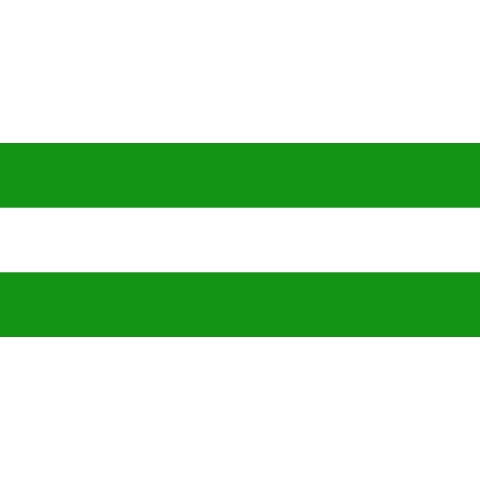 Vlag Hasselt 200x300cm