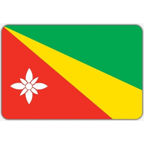 Vlag Twijzelerheide - 150 x 225 cm - Polyester