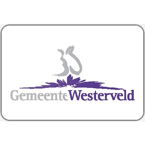 Vlag gemeente Westerveld - 150 x 225 cm - Polyester