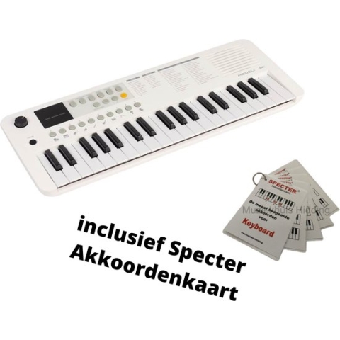 Medeli Nebula Mini Size Keyboard | 37 Toetsen | Met Specter Akkoordenkaart | Draadloos | Wit