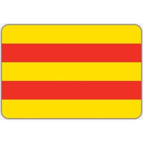 Vlag Stad aan 't Haringvliet - 200 x 300 cm - Polyester