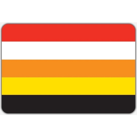 Vlag Benschop - 150 x 225 cm - Polyester