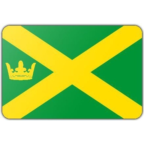 Vlag gemeente Aa en Huuze - 200 x 300 cm - Polyester