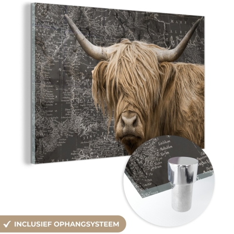 MuchoWow® Glasschilderij - Schotse hooglander - Wereldkaart - Dieren - 150x100 cm - Acrylglas Schilderijen - Foto op Glas