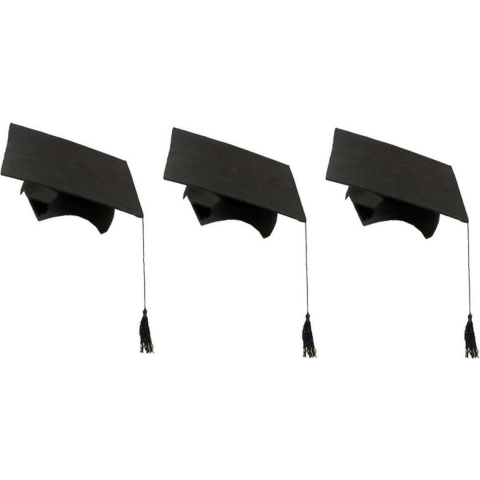 50x stuks 2-delige afstudeer hoeden geslaagd zwart met kwast voor volwassenen - Examen diploma uitreiking feestartikelen