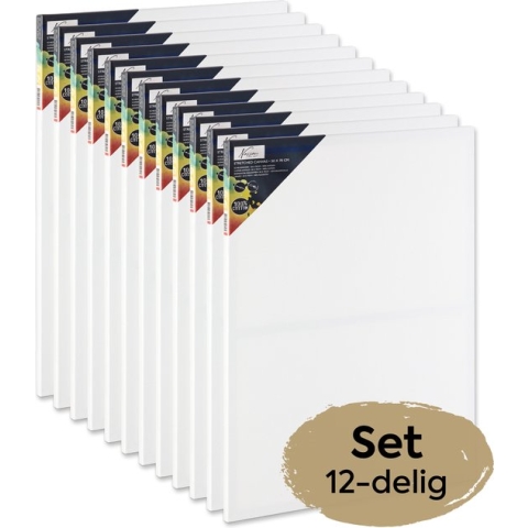 Nassau Fine Art 12-delige schildersdoeken set - formaat 50x70 cm - voor acryl-, olie- en aquarelverf - hoge kwaliteit canvas - perfect voor beginners en ervaren kunstenaars - goede prijs-kwaliteitverhouding