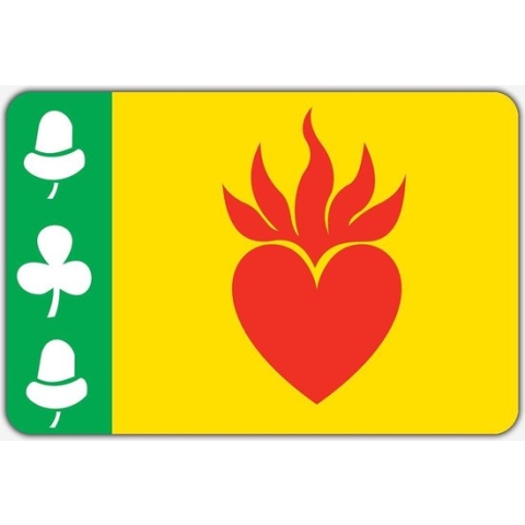 Vlag Augustinusga - 200 x 300 cm - Polyester