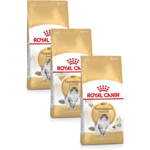 Royal Canin Norwegian Forest Cat Adult - Kattenvoer - 3 x 2 kg