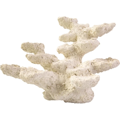 Blue Marine Rock Standing