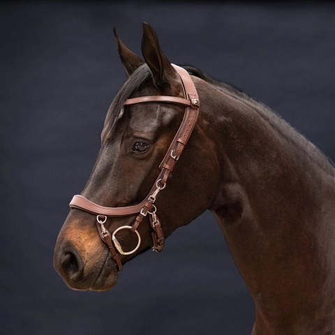 PresTeq Hoofdstel FaySport - Brown