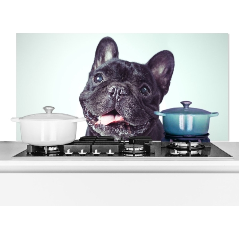 Spatscherm Keuken - Kookplaat Achterwand - Spatwand Fornuis - 100x50 cm - Franse Bulldog - Zwart - Stoel - Aluminium - Wanddecoratie - Muurbeschermer - Hittebestendig