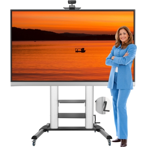 STRALEX TV VLOERSTANDAARD PROFESSIONEEL TW61L LARGE MET DRAAIHENDEL