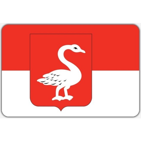 Vlag Huissen - 200 x 300 cm - Polyester