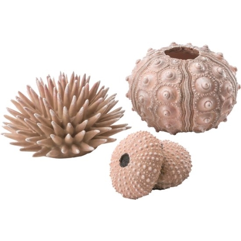 biOrb zee-egel set naturel