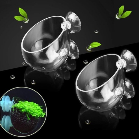 Waterplantenpot, kristalglas, planten voor aquaria, rode garnalen, levende planten, glazen houder met 4 zuignappen, aquariumdecoratie, 2 stuks