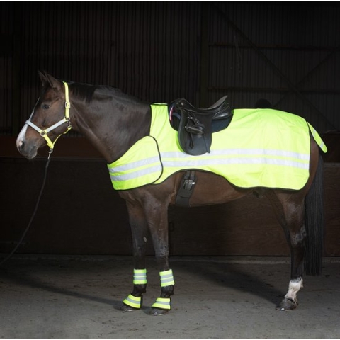 Harry's Horse Uitrijdeken Reflective S